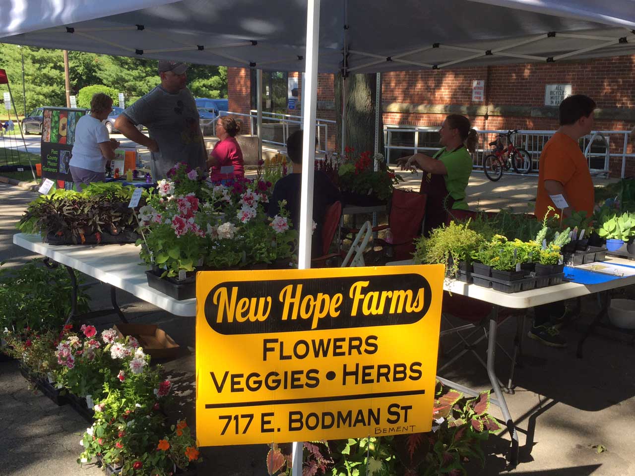 Monticello Main Street